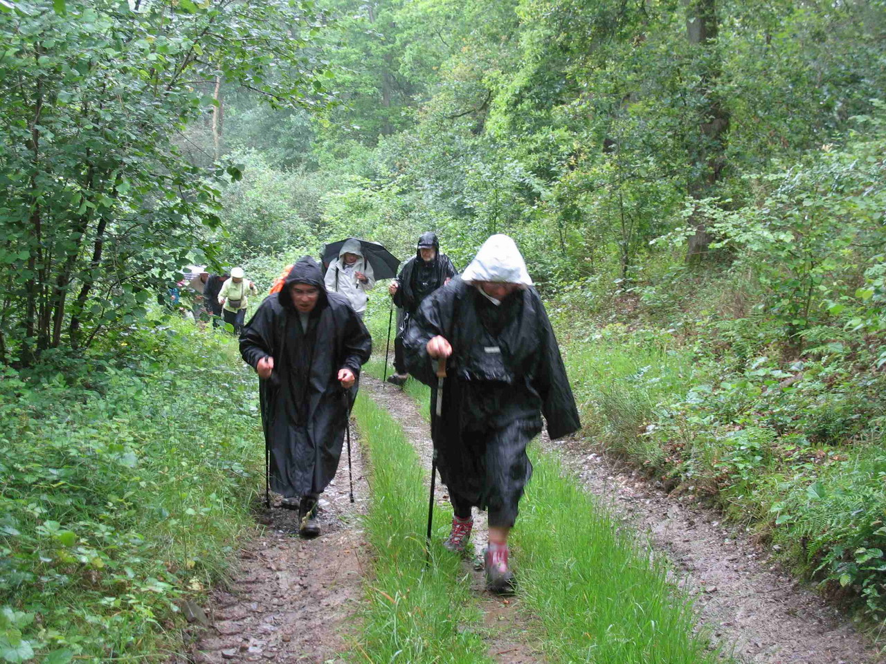 2012-06_24-rando leval -Chaudeville 031 bis.jpg