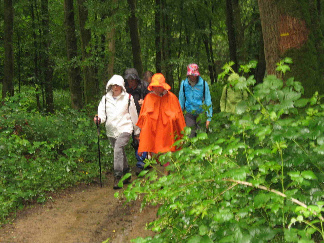 2012-06_24-rando leval -Chaudeville 034 bis.jpg