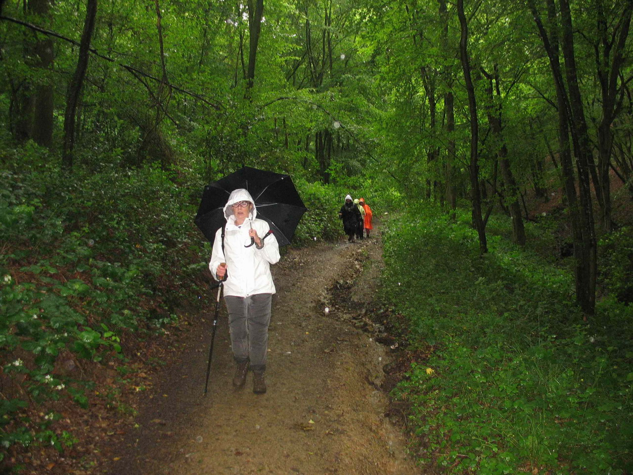 2012-06_24-rando leval -Chaudeville 038 bis.jpg