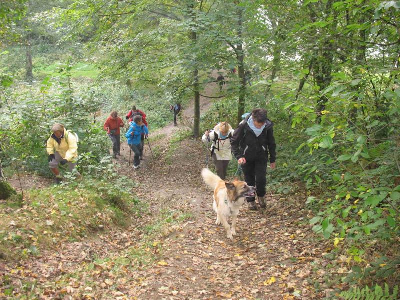 2012_09_30- rando vds Bouillon 024 bis.jpg