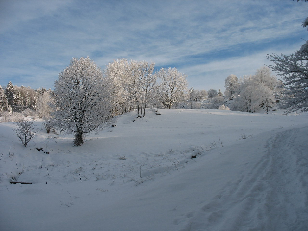 2013_01_du 17au20 - La Bresse 016 bis.jpg