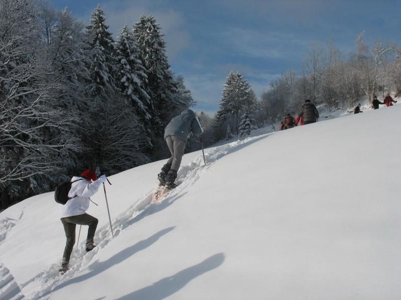 2013_01_du 17au20 - La Bresse 054 bis.jpg