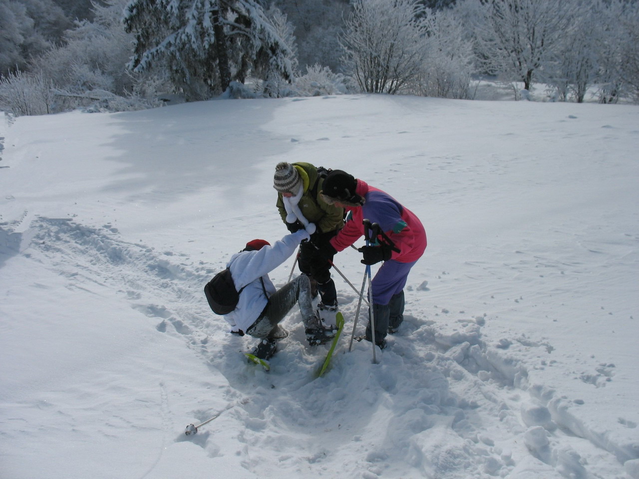 2013_01_du 17au20 - La Bresse 076 bis.jpg