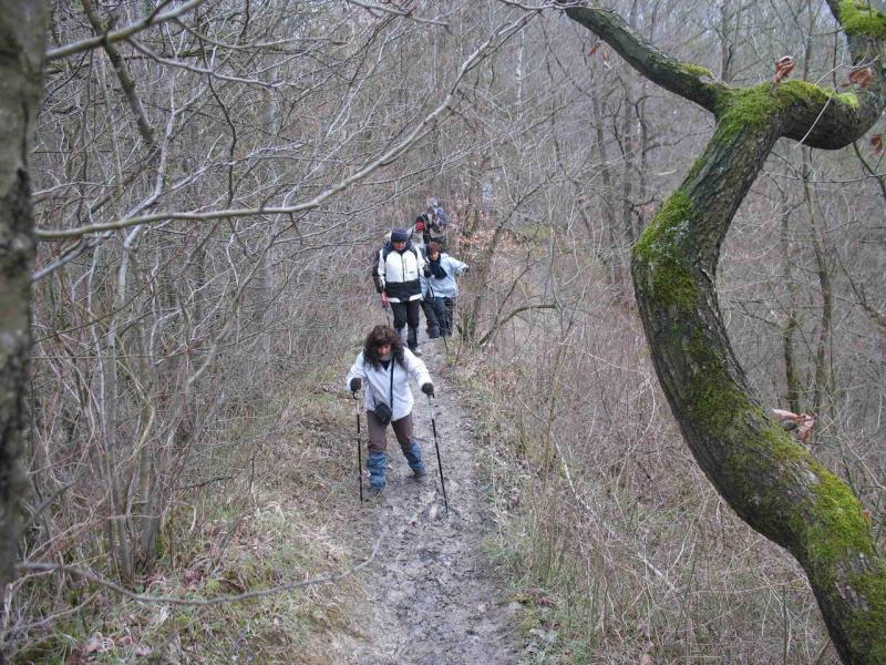 2013_03_24- GUSSIGNIES 021 BIS.jpg