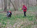 2013_03_24- GUSSIGNIES 080 BIS.jpg
