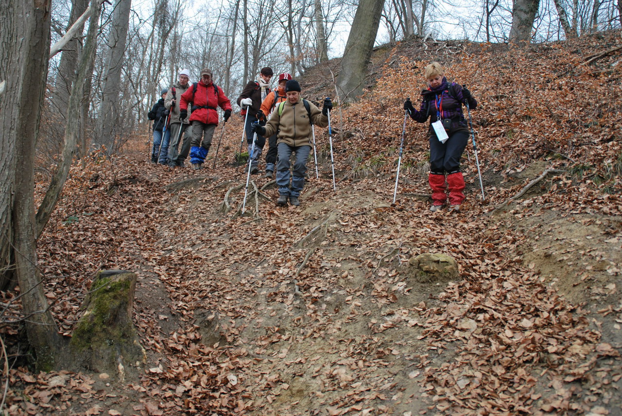 DSC_0245.JPG