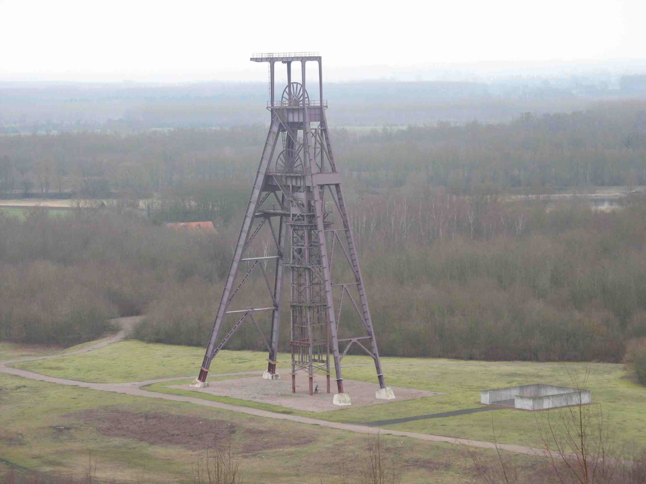 123.jpg
