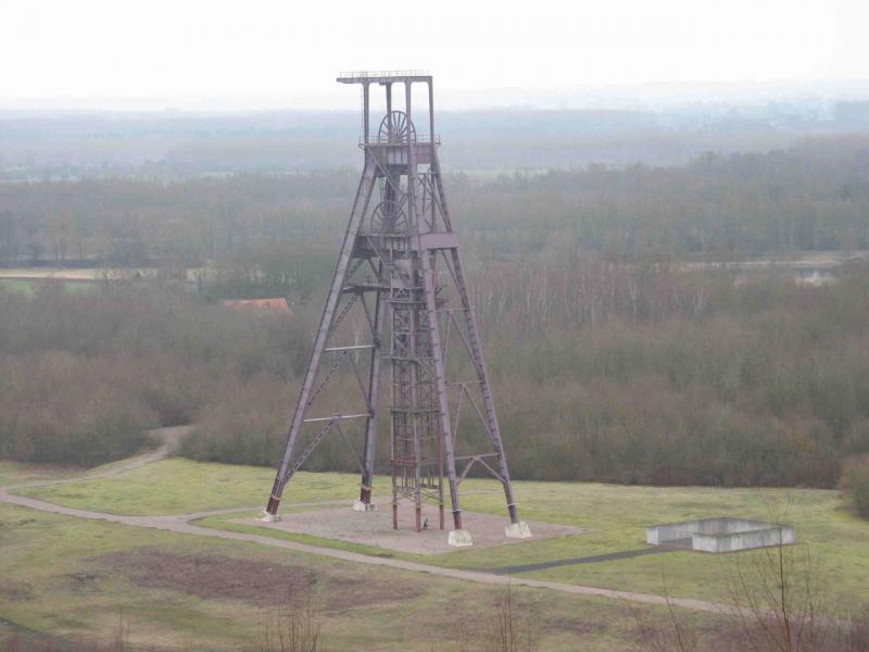 123.jpg
