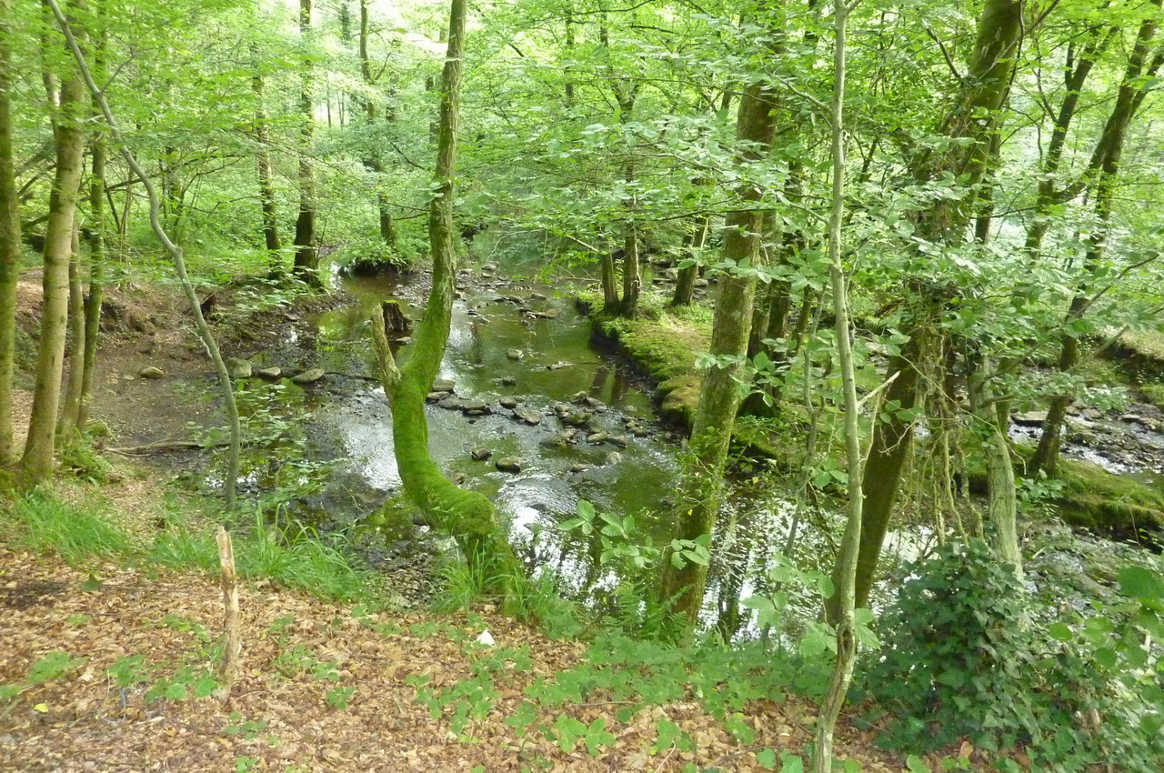 P1010483.JPG