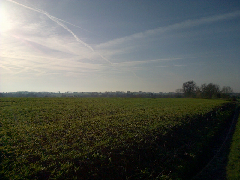 Bavay-20141123-01309.jpg
