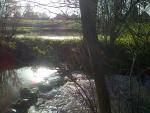 Hon-Hergies-20141123-01328.jpg