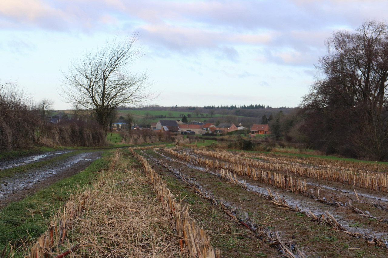 2015-01-11 Bousignies sur Roc (3)