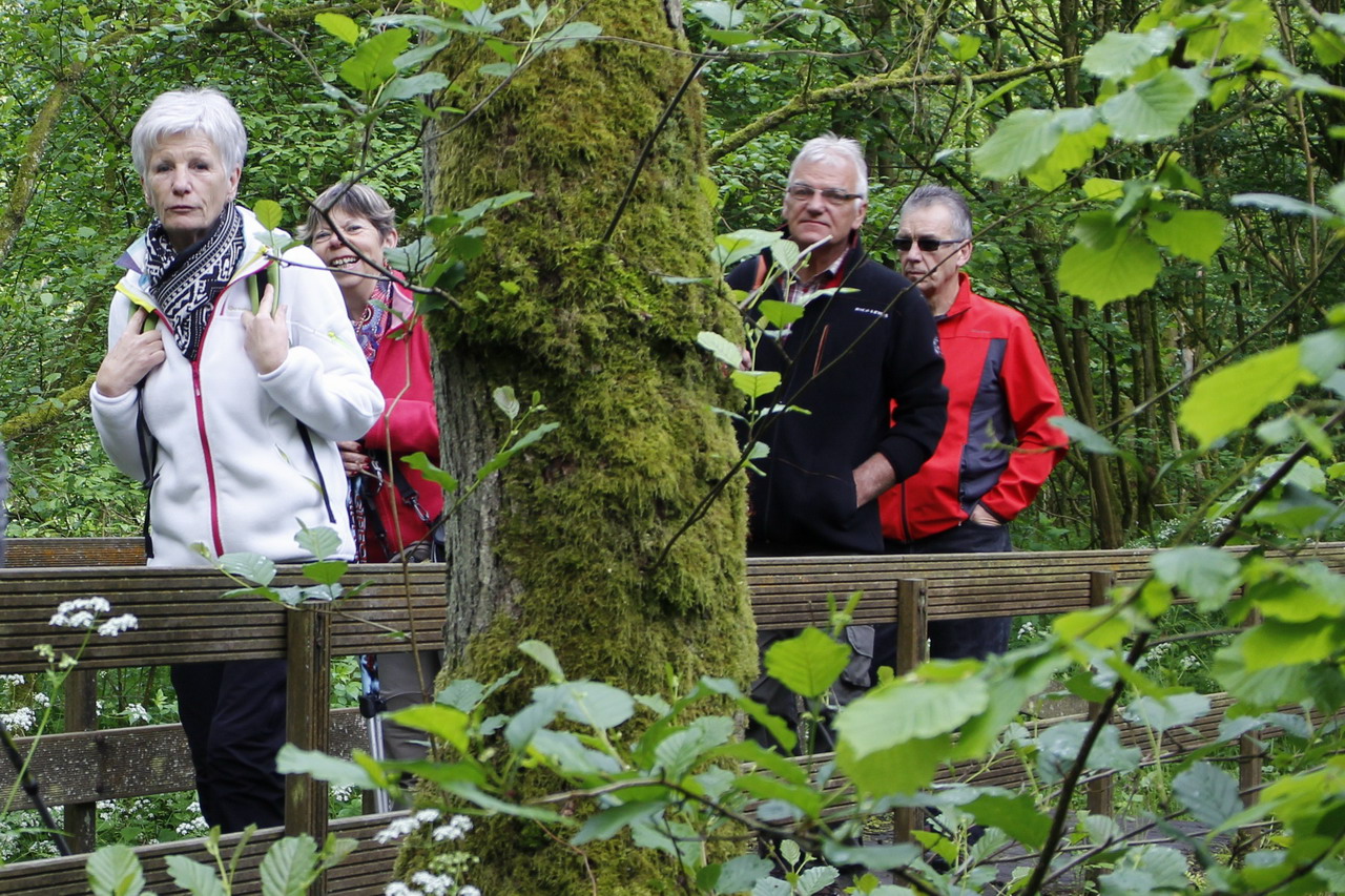 2015-05-17 rando Montignies sur Roc 004 - Copie.JPG