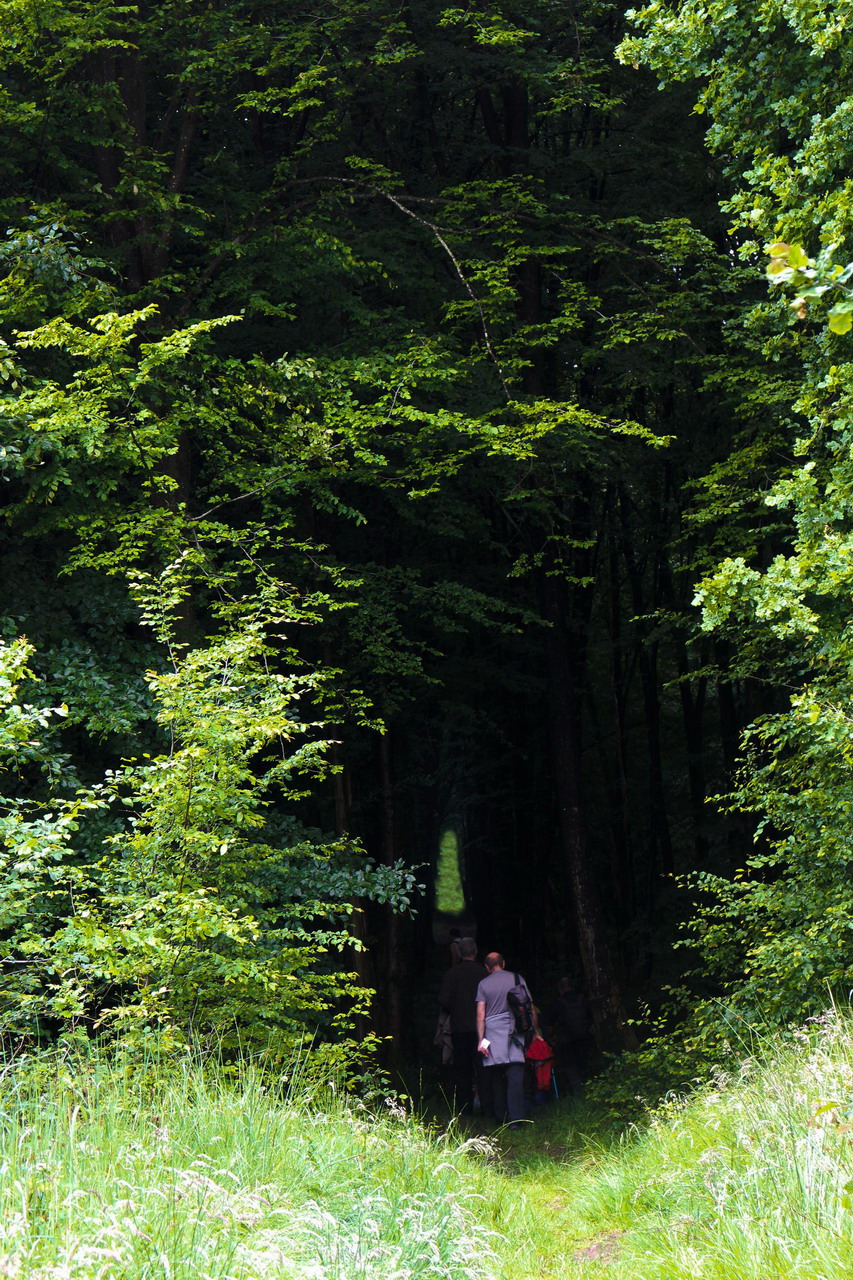 2015-06-21 rando Preux-au-Bois 015 copie.jpg