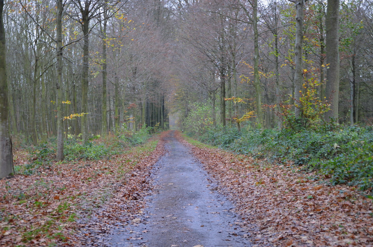 DSC_0081.JPG