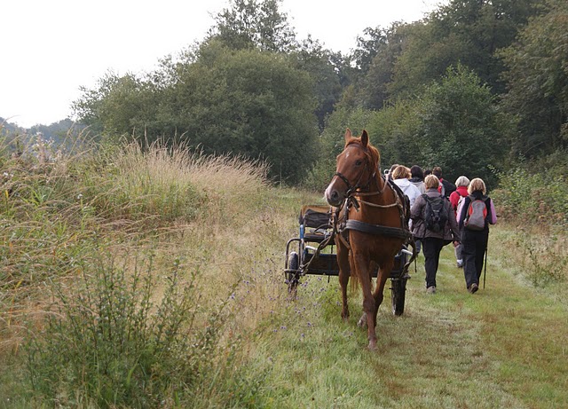 2010-09-19 BEAUWELZ Bernard 007.JPG