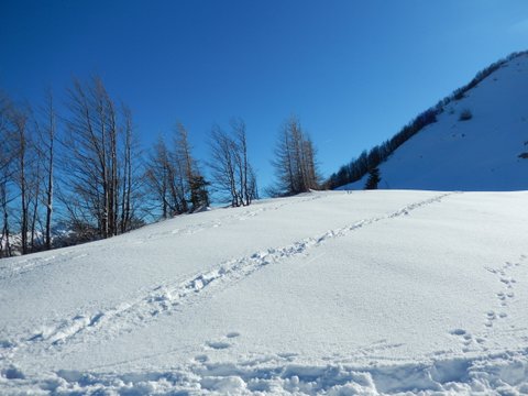 DSCN7796.JPG