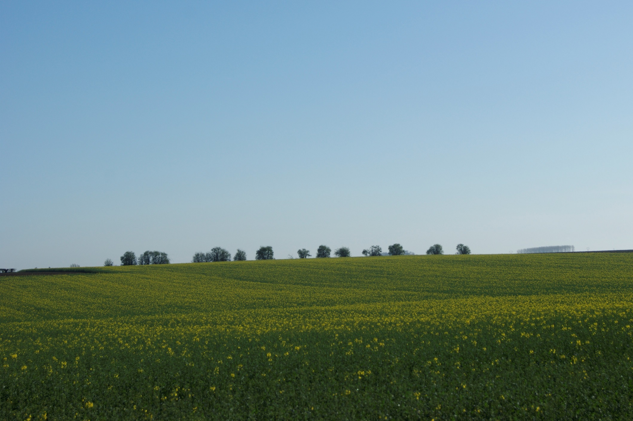 _DSC8778.JPG