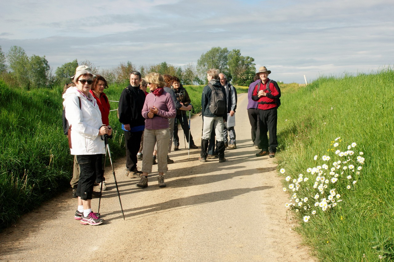 _DSC9437 - Copie.JPG