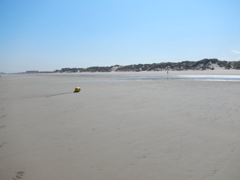 DSCN9217.JPG