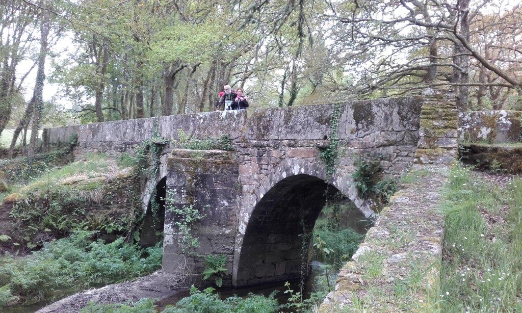 20180516_111324.jpg
