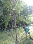 IMG_20200816_0923297061.jpg