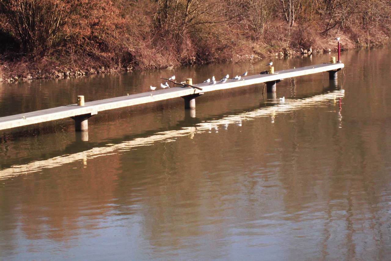 DSCF7402.jpg
