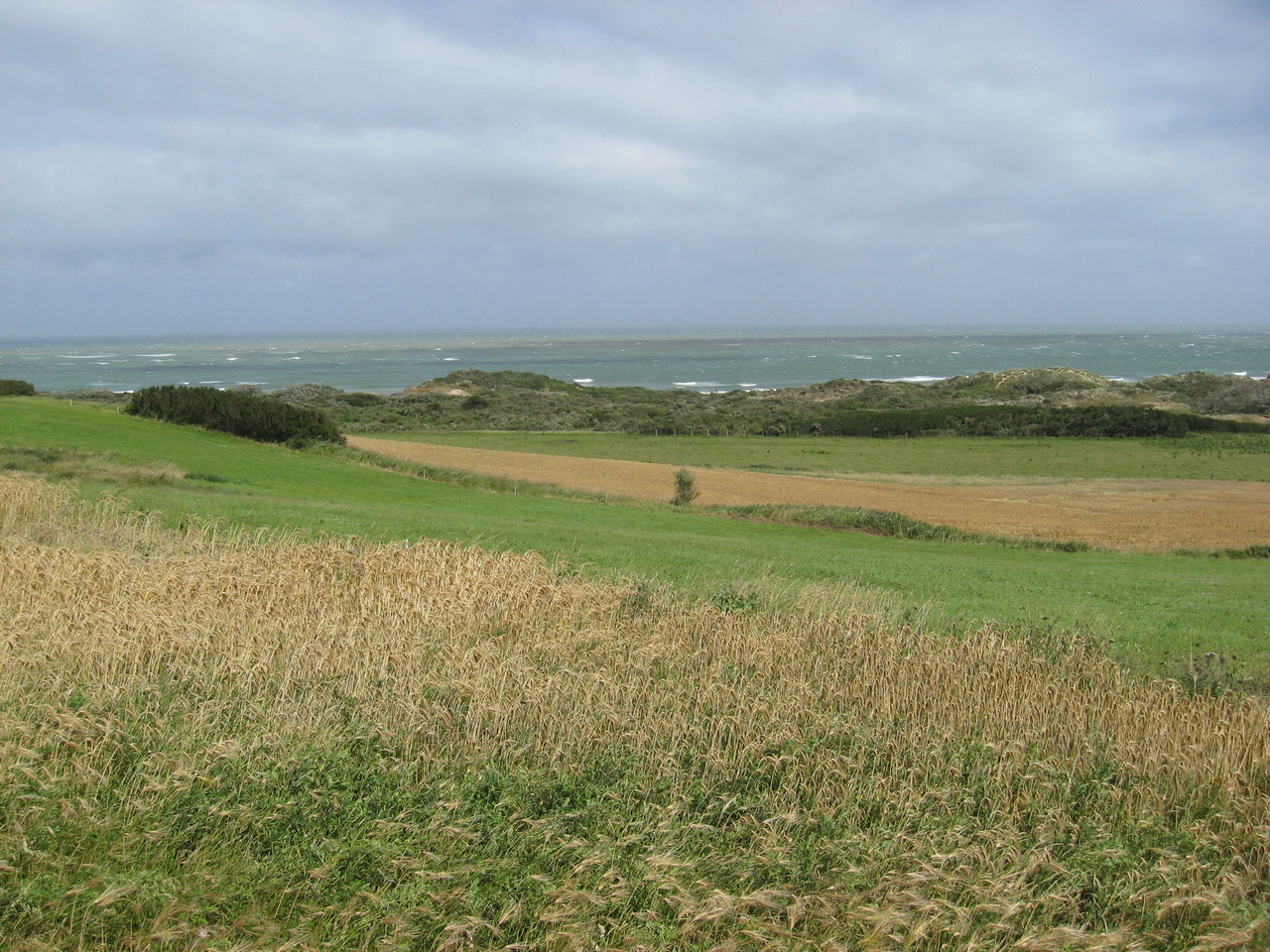 IMG_4340.JPG