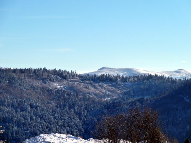 La_Bresse_2011-p1020863.jpg