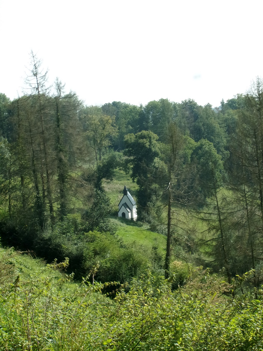 RIMG4858.JPG
