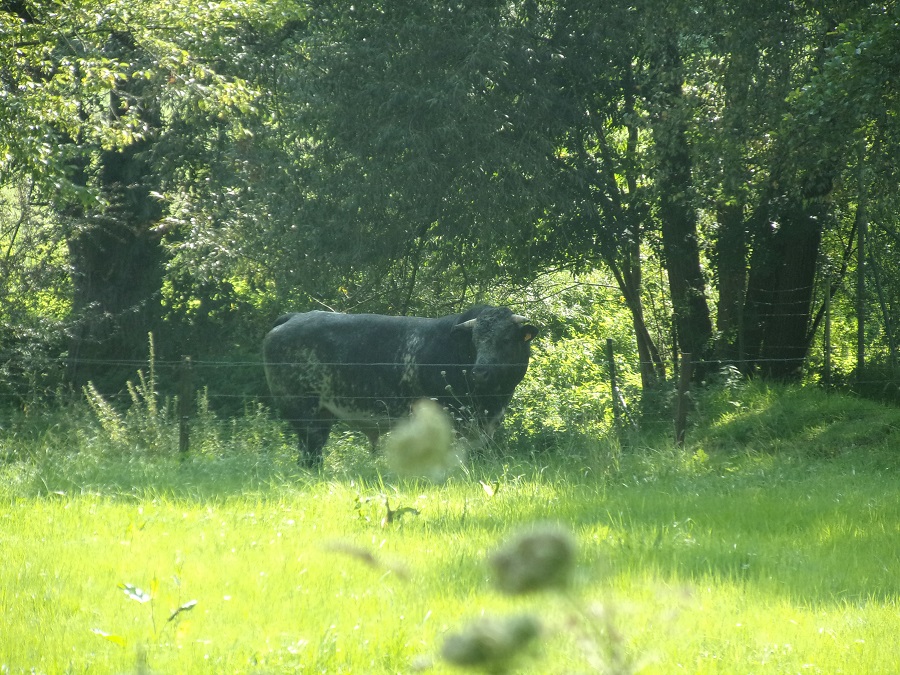 RIMG4864.JPG
