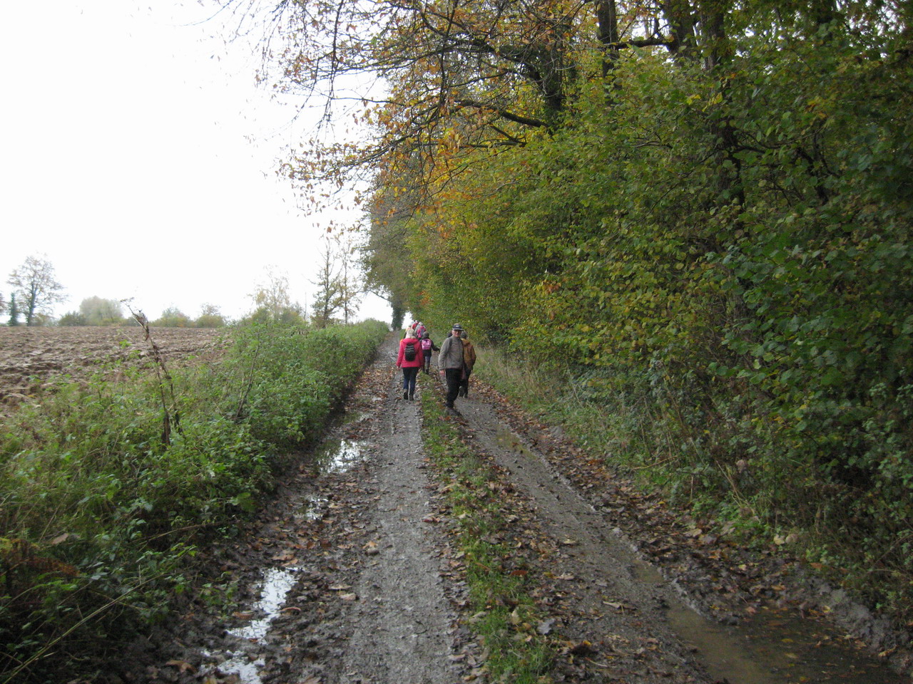IMG_4531.JPG