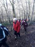 IMG-20220130-WA0003.jpg