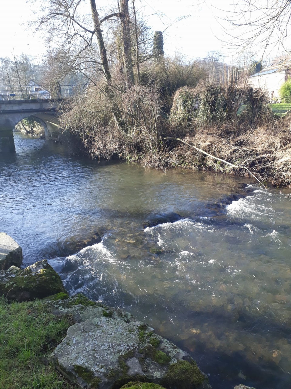 IMG-20220130-WA0007.jpg