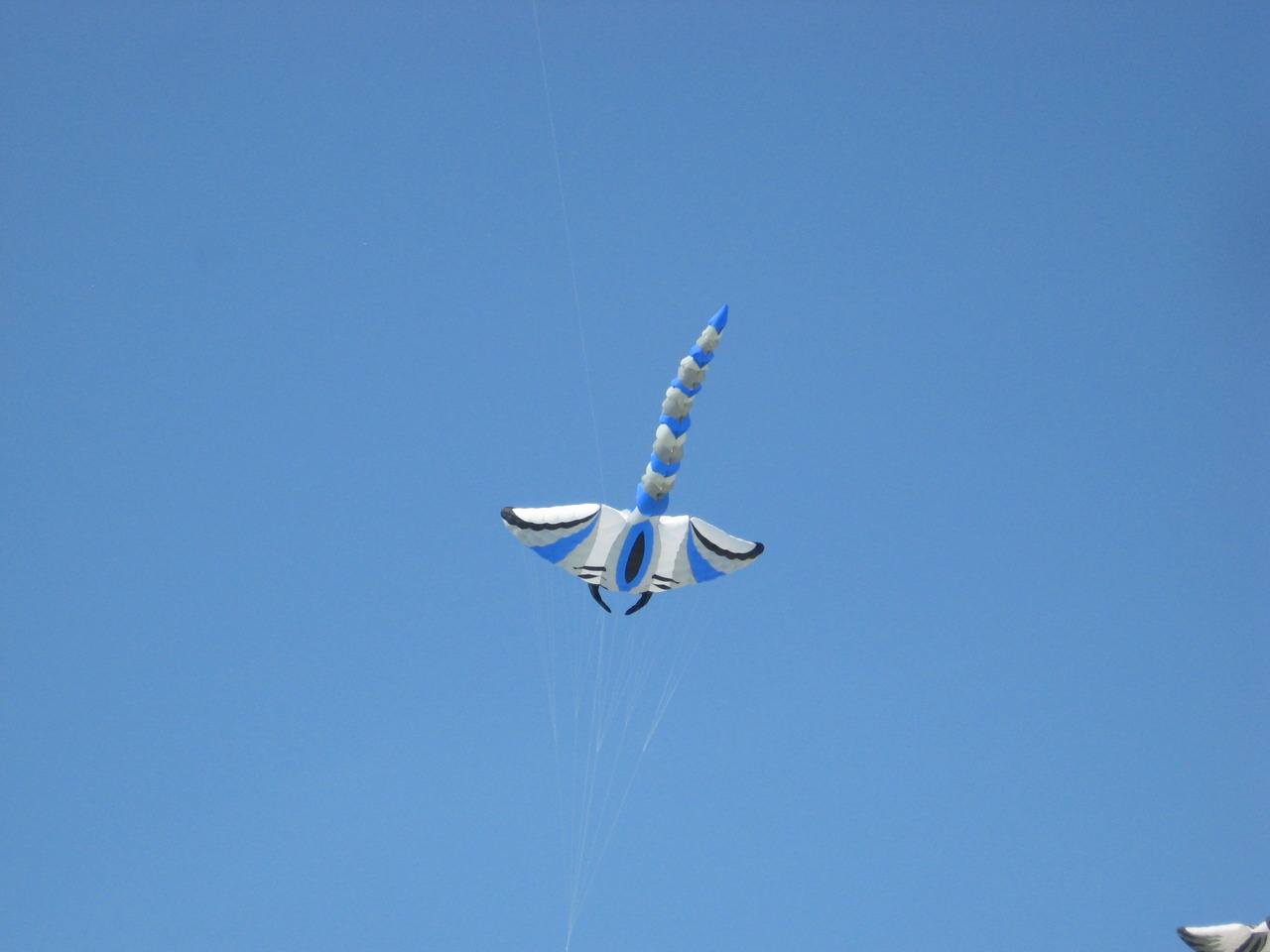 IMG_4613.JPG