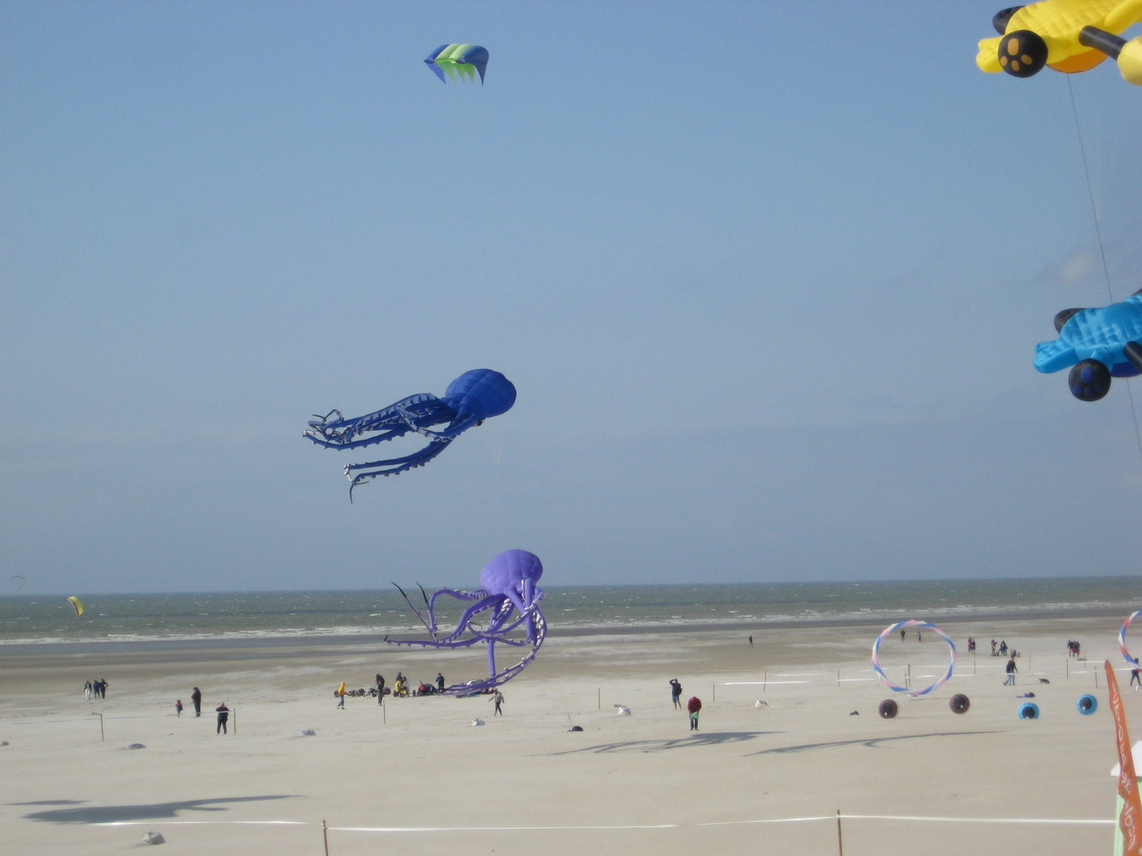 IMG_4615.JPG