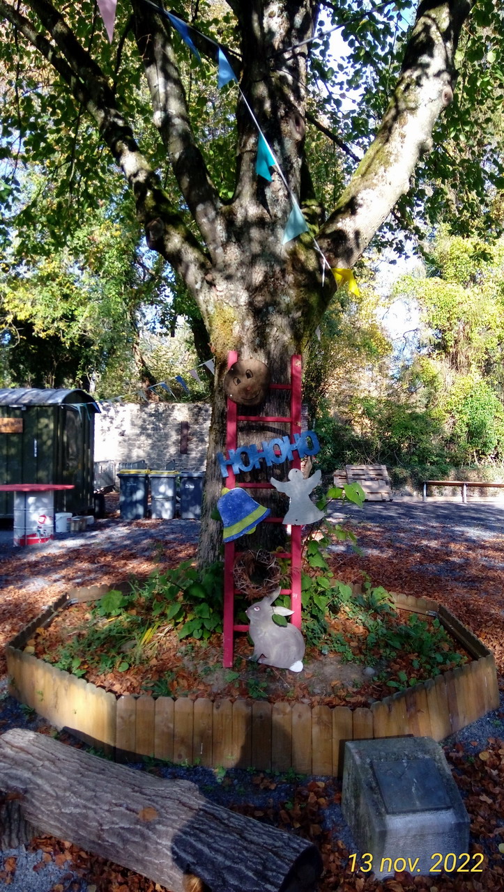29.jpg