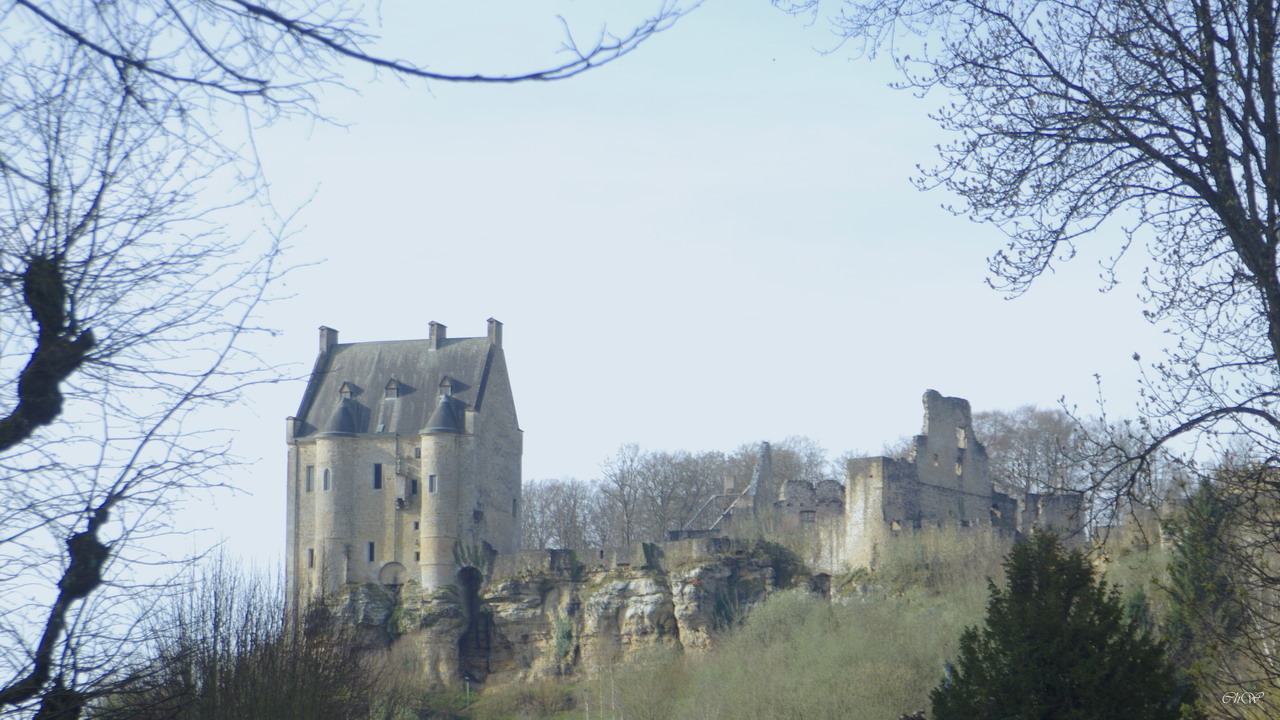 IMGP8146.JPG