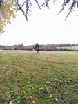 IMG_20231105_102418.jpg