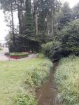 IMG-20240818-WA0002.jpg