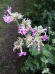 IMG-20240818-WA0007.jpg