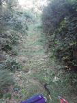IMG-20240818-WA0008.jpg