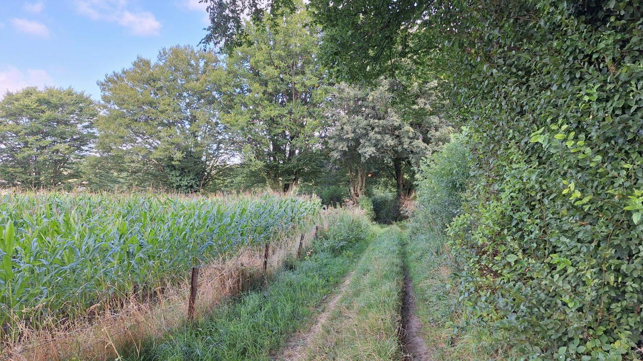 20240825_110330.jpg