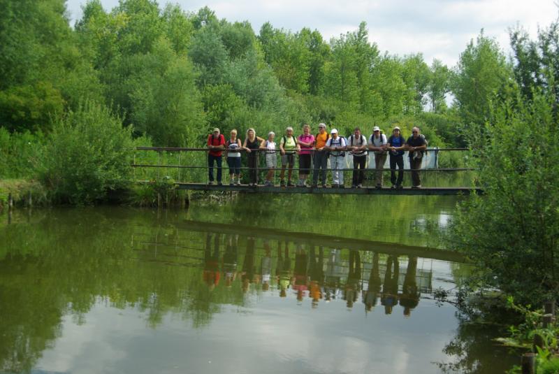 Canal de liaison au marais de Palluel IMGP8508.JPG