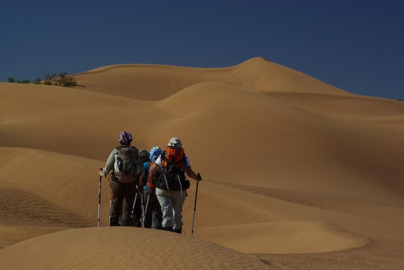 197 - Nous attaquons les dunes de___ IMGP7528.JPG