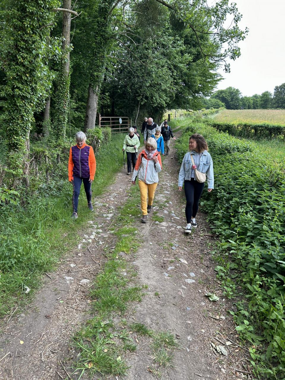 IMG_6960.jpeg