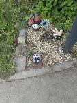 IMG_6971.jpeg