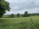 IMG_6975.jpeg