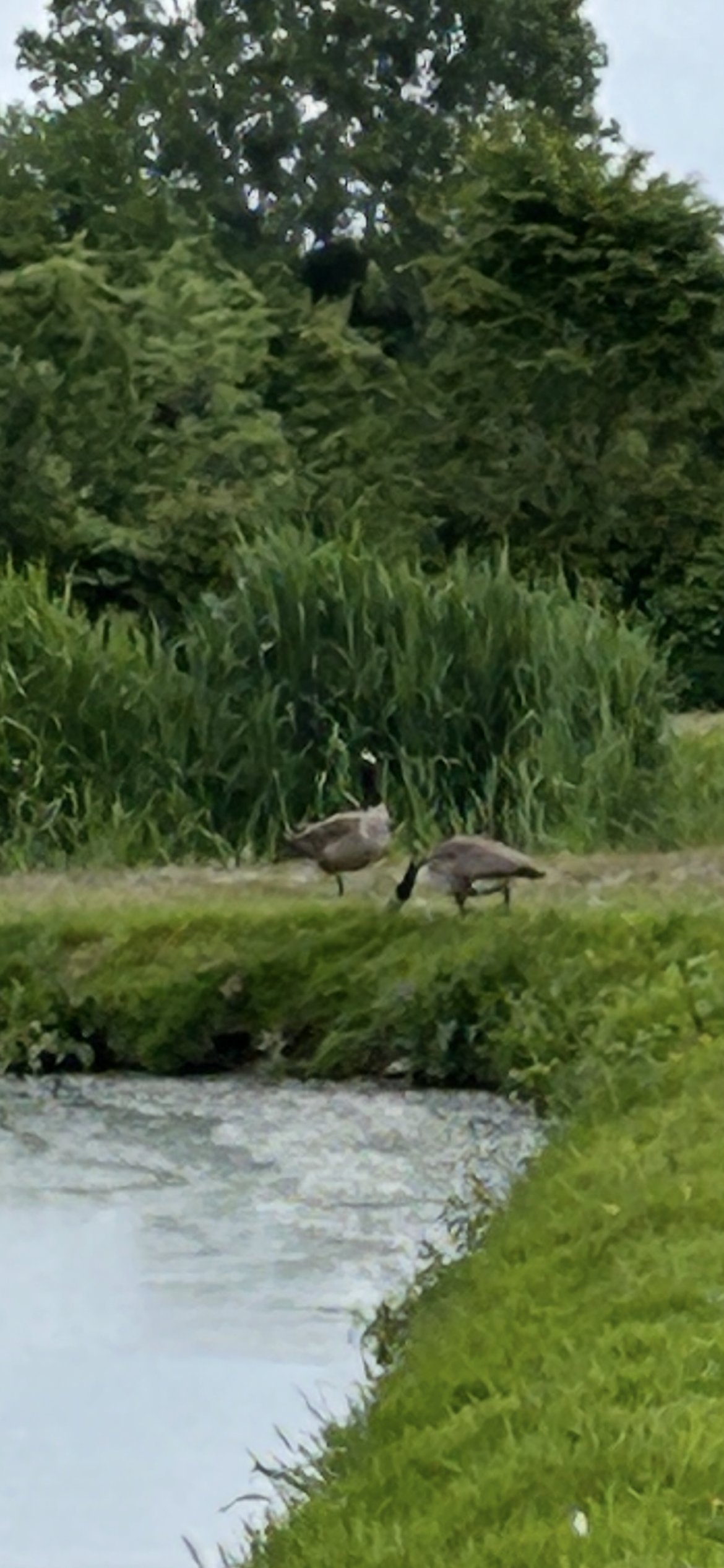 IMG_6988.jpg