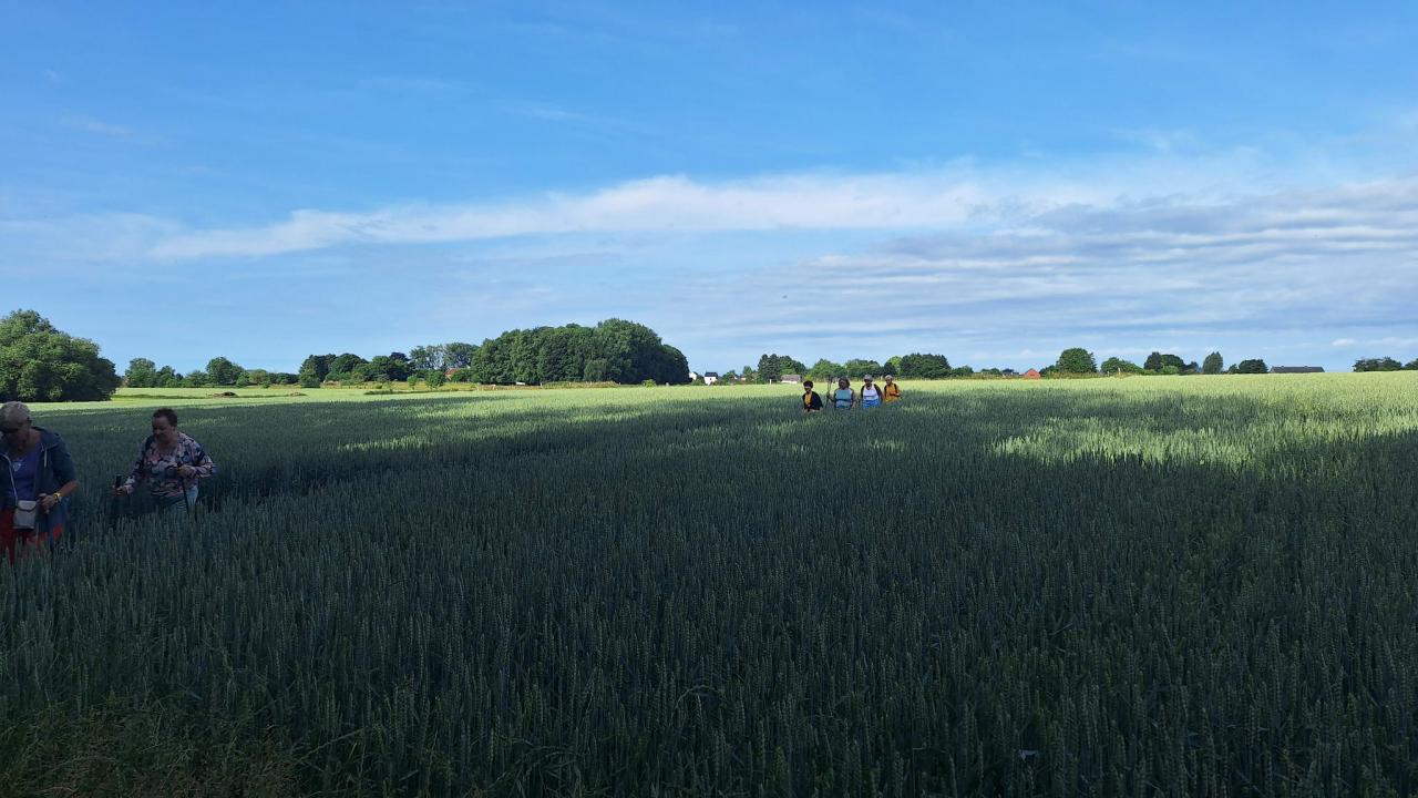 20250615_092800.jpg